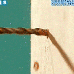 1220.gif
