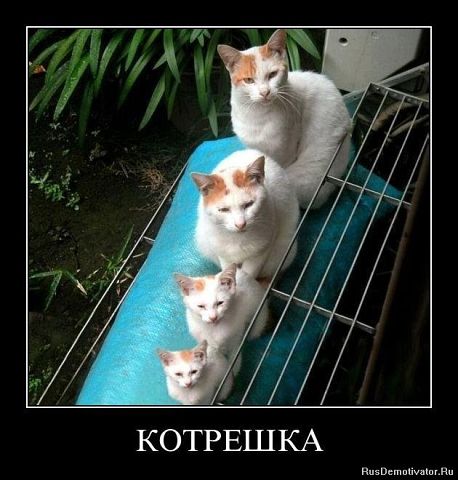 getImage3.jpg