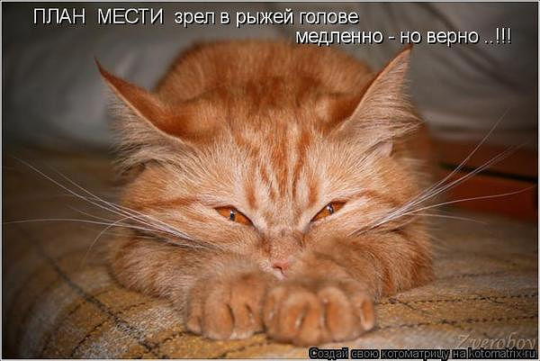вапролд.jpeg