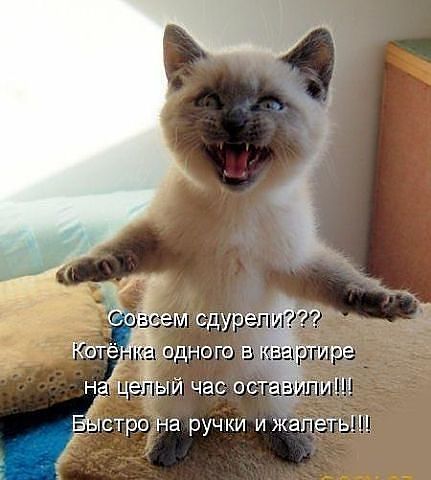 ывапролдю.jpeg