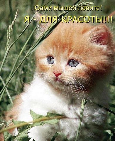 вапрол.jpeg
