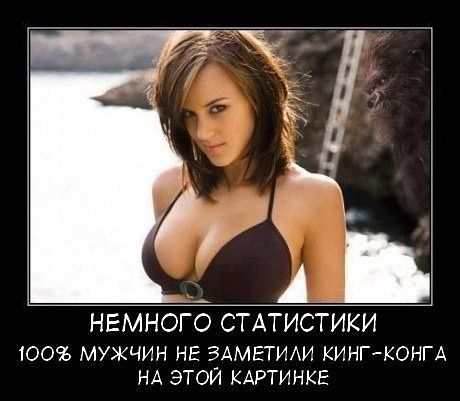ячсмитьбю.jpeg