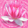 727268207.gif